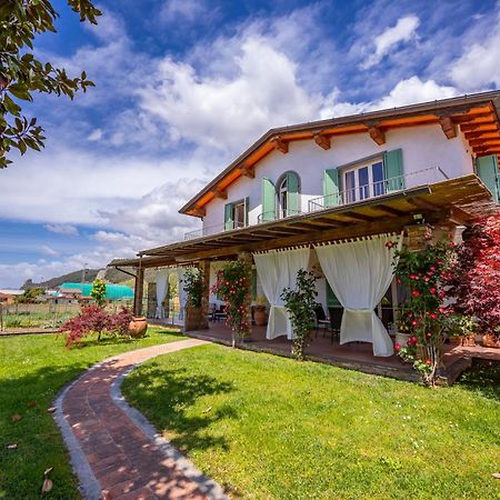 Villa Clara Few Km From The Sea - Happy Rentals Pietrasanta Eksteriør bilde